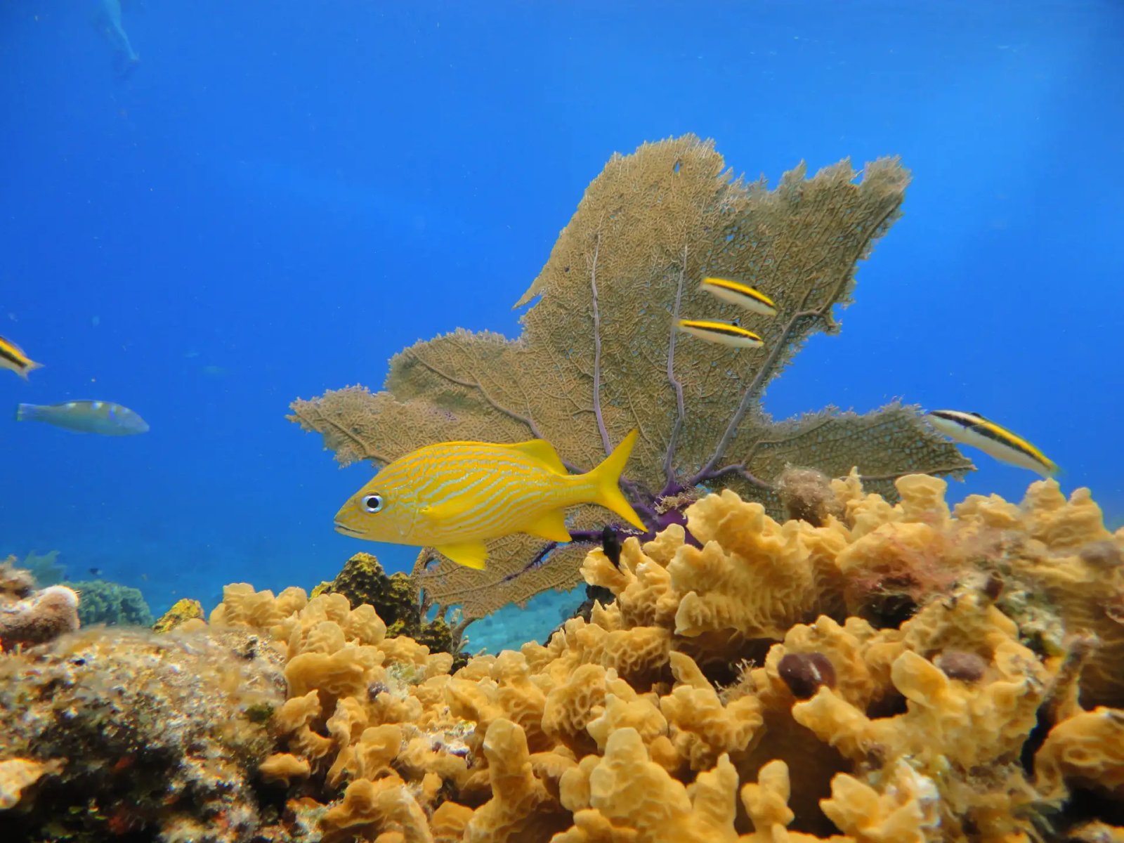 cozumel-2.jpeg