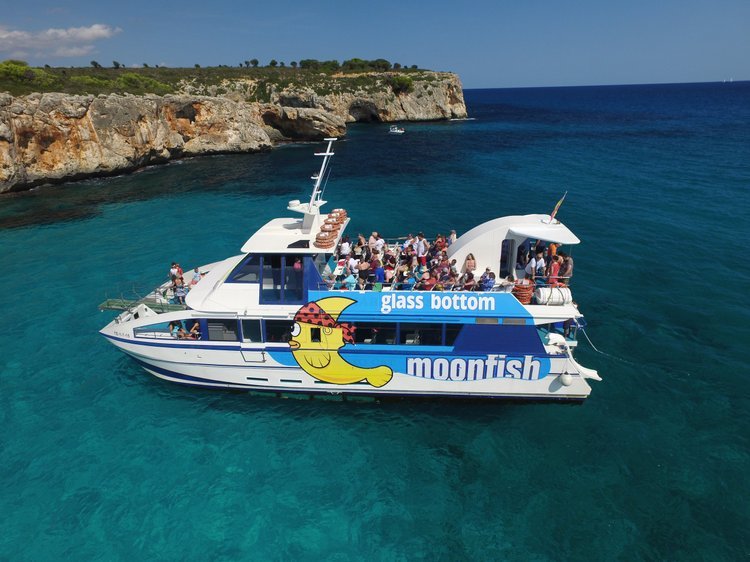 Glass Bottom Boat Tour 